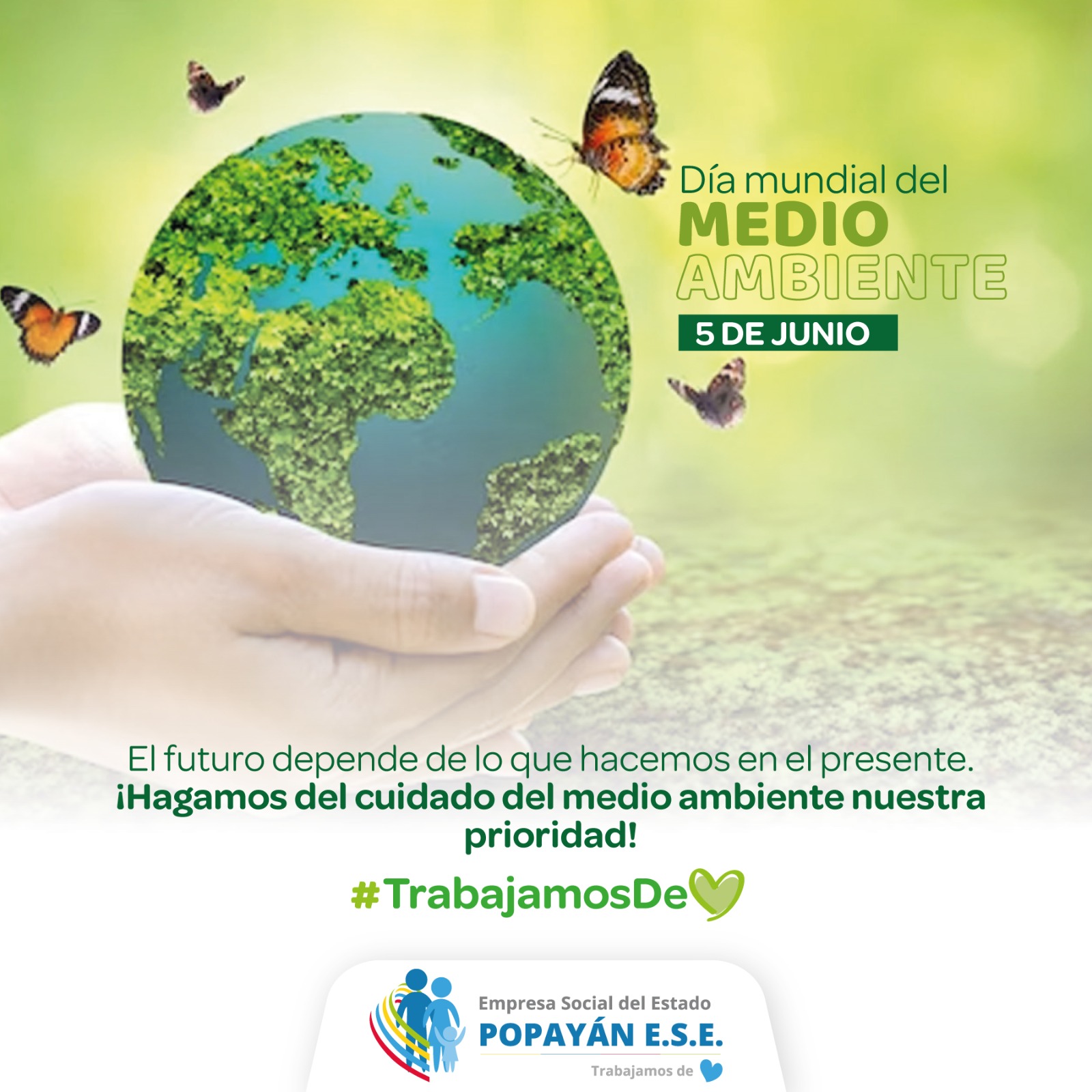 Día mundial del MEDIO AMBIENTE 