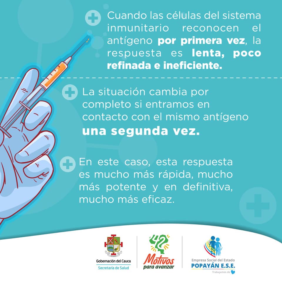 Vacuna 2